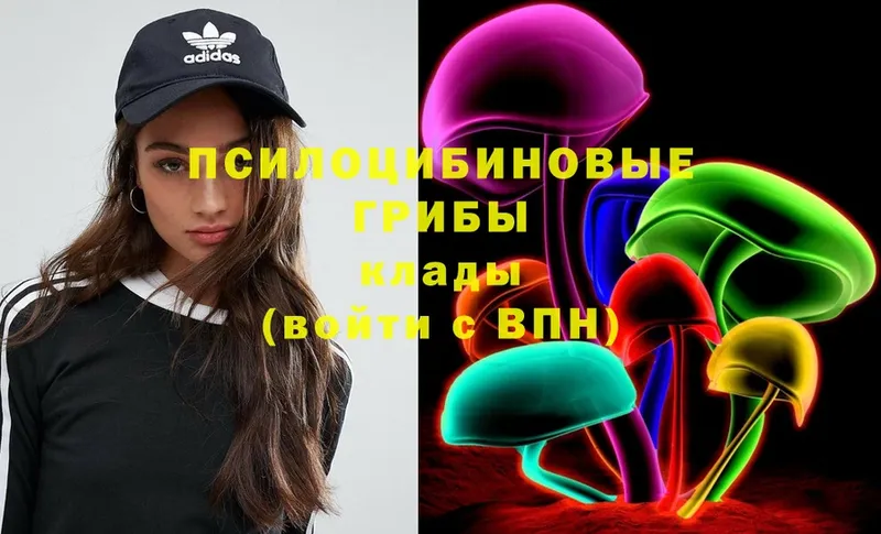 Псилоцибиновые грибы Psilocybe  Белый 